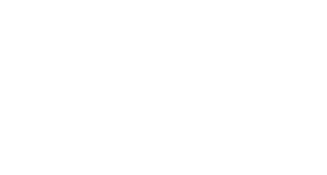 Ocracoke Access Alliance Logo